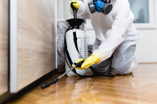 Best Affordable Pest Control Services  in Wendover, UT