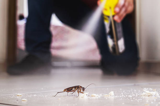 Best Pest Inspection Near Me  in Wendover, UT