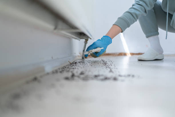 Best Insect Control  in Wendover, UT